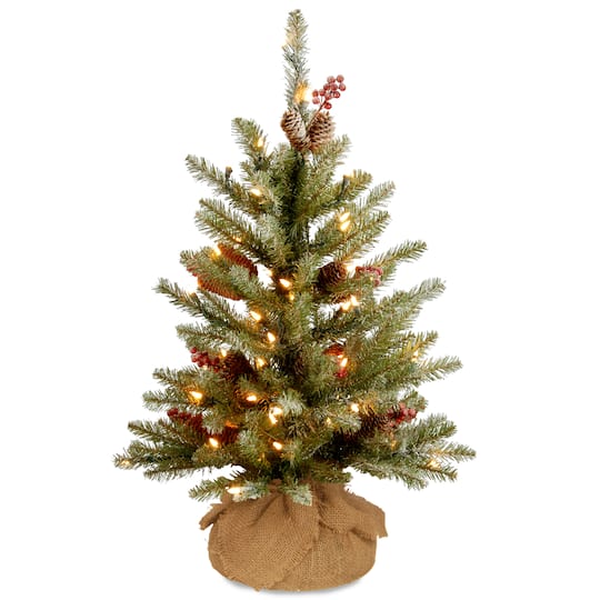 2Ft Dunhill® Fir Tree With Warm White LED Lights By National Tree Company in Green | 16" x 16" x 24" | Michaels®